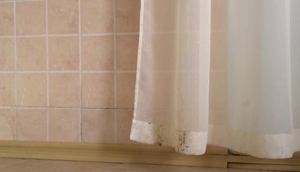 Best Indoor Air Quality Assessment  in Wheatland, WY