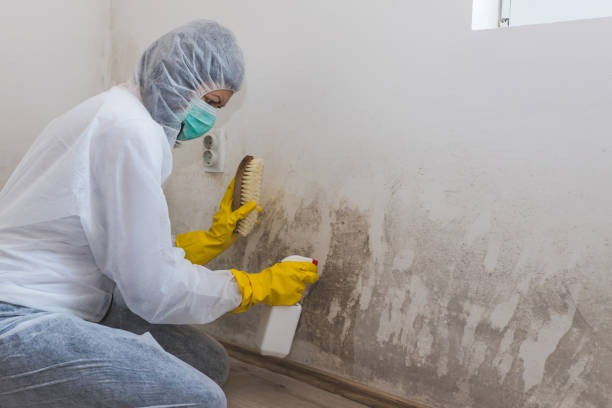 Mold Remediation for Rental Properties in Wheatland, WY