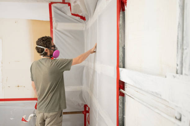 Best Asbestos and Lead Testing During Mold Inspection  in Wheatland, WY