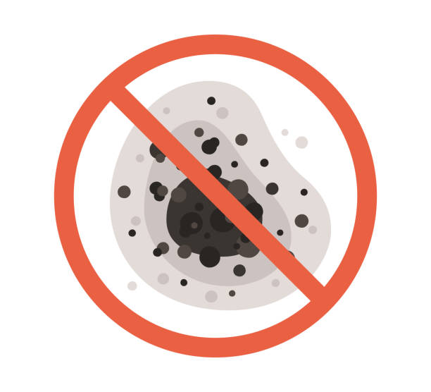  Wheatland, WY Mold Removal Pros