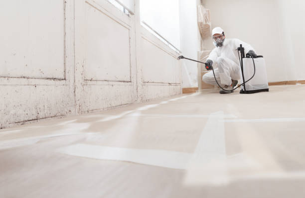 Best Mold Odor Removal Services  in Wheatland, WY